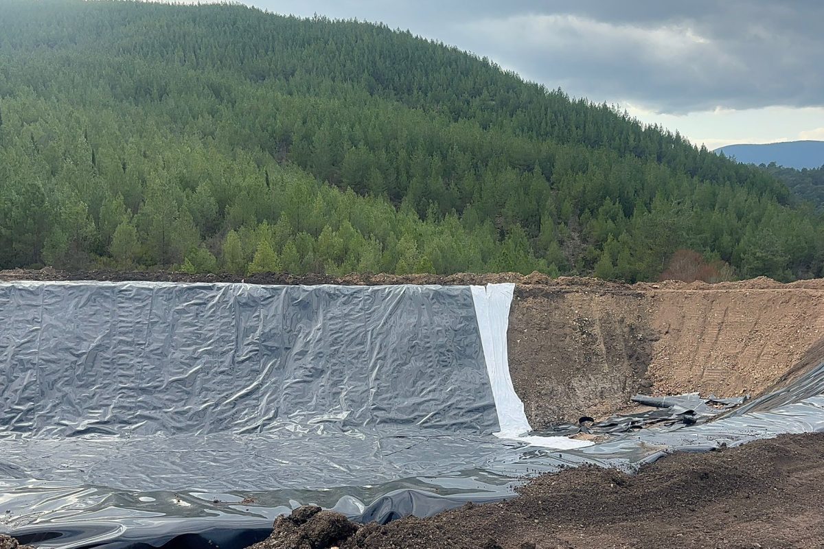 WhatsApp Image 2025-05-01 at 14.57.57_3b927ca6