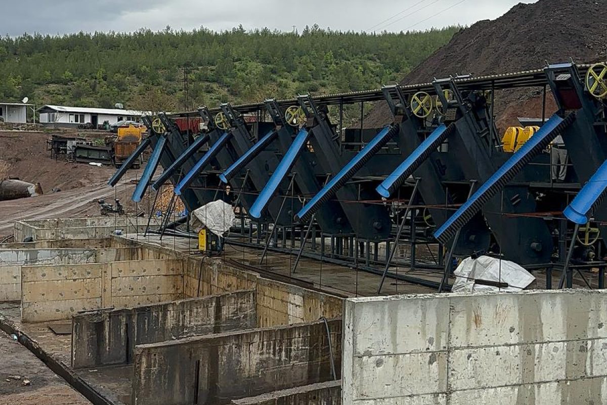 WhatsApp Image 2025-05-01 at 14.58.02_7ad78dcb