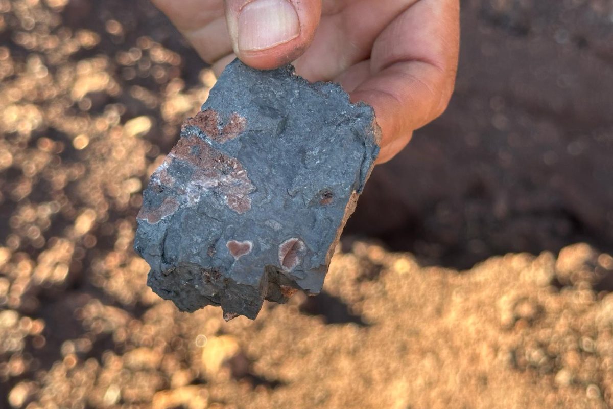 WhatsApp Image 2025-05-01 at 15.00.21_a1943dae