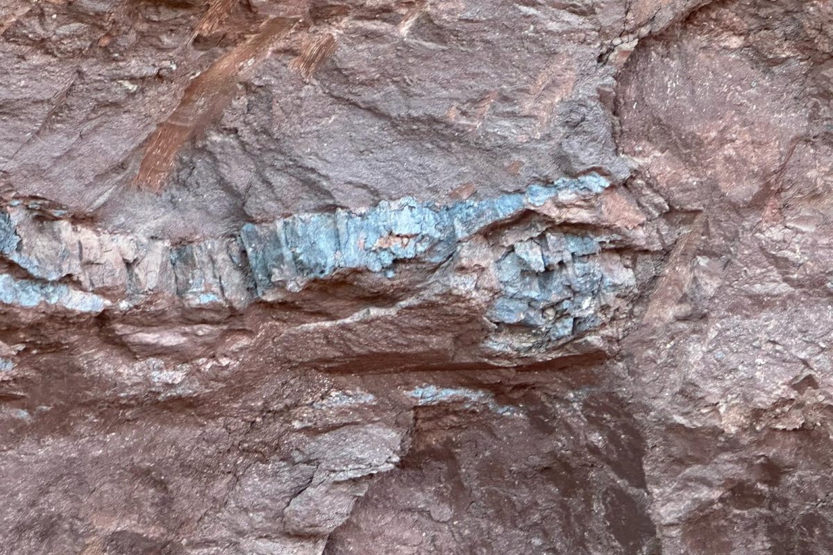 WhatsApp Image 2025-05-01 at 15.00.22_0af025ab