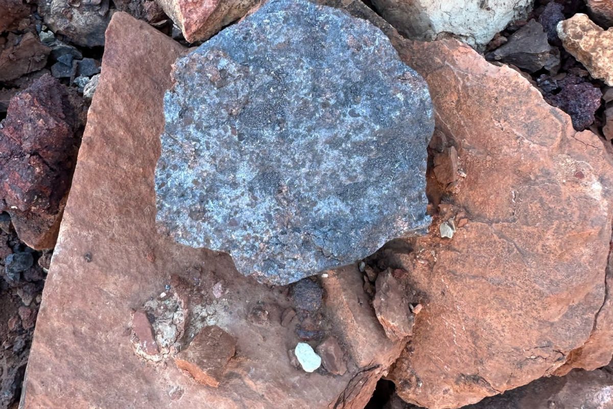 WhatsApp Image 2025-05-01 at 15.00.22_62672441