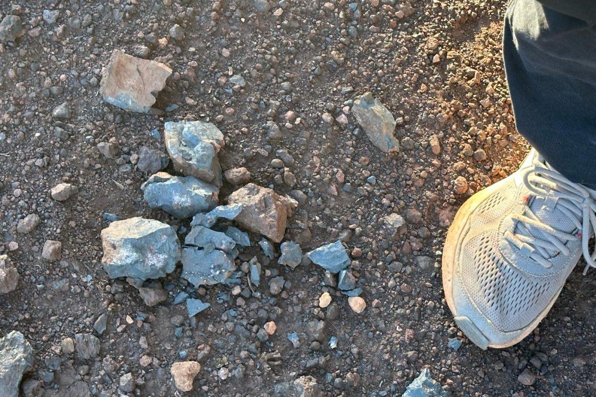 WhatsApp Image 2025-05-01 at 15.00.22_d8b4087e